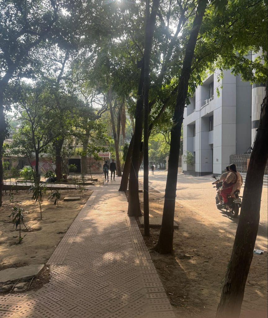 Trees planted in front of the Faculty of Social Sciences, University of Dhaka