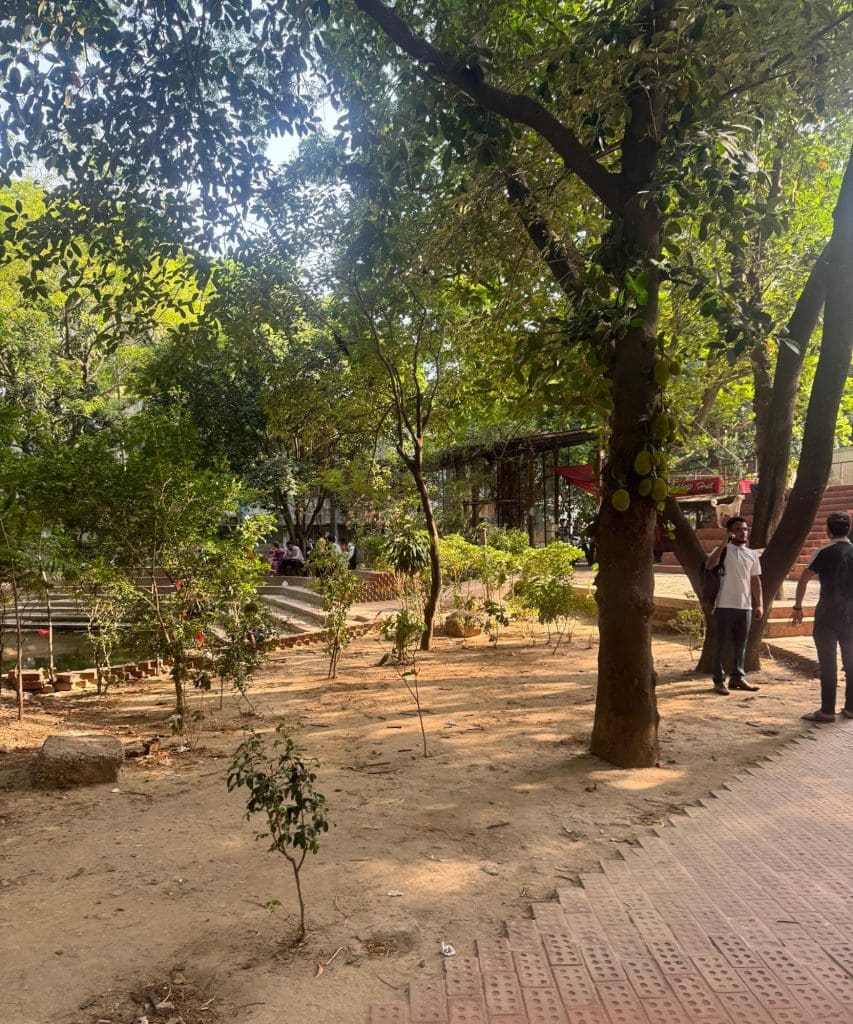 Trees planted in front of the Faculty of Social Sciences, University of Dhaka